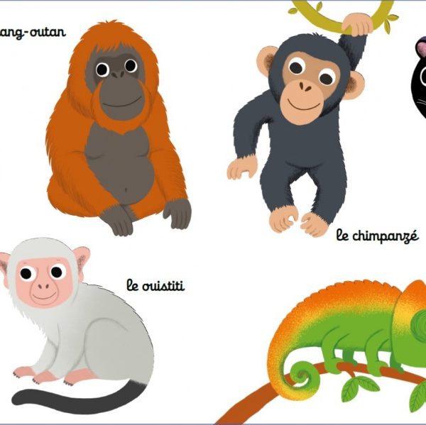 Mes premiers bébés animaux à toucher