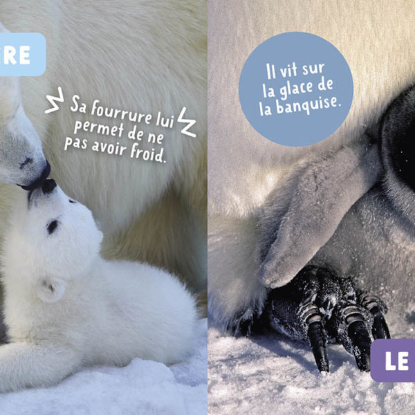 Imagier animaux Dejco